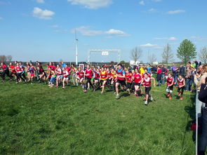 mk体育现在-青少年体育活动参与动机分析与提升，青少年体育活动参与动机分析与提升研究